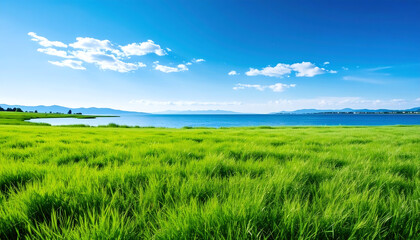 Obraz premium A serene landscape unfolds with a vast expanse of lush, vibrant green grass stretching