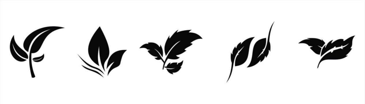 leaf silhouette icon with various leaf shapes, leaf vector with a simple design that can be edited, isolated on a white background