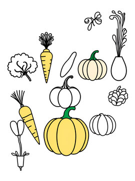 Vegetables icons set. Linear design. Includes such generalities as carrots, potatoes, pumpkin and others. Isolated vector on a white background.
