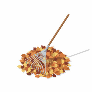 Isometric Detailed Rake and Pile of Autumn Leaves Illustration