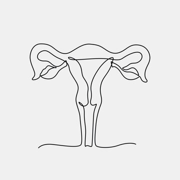 Uterus one line drawing. Uterus single line illustration. Uterus minimalist line art. Uterus vector art