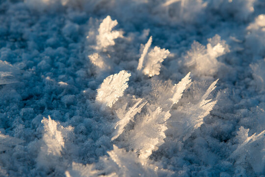 Canada, BC, Loon Lake.  Ice crystals on the frozen surface of the lake.