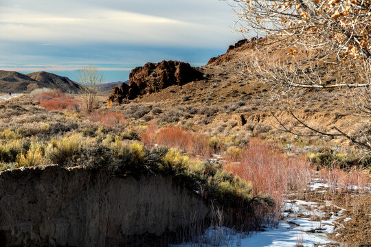 USA, NV, Fallon.  Semi-arid landscape in the Lahontan Valley, in winter.