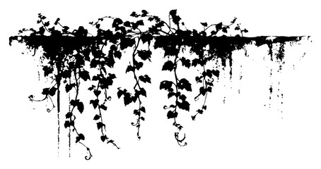 Hanging ivy vines and leaves silhouette with grunge texture and artistic paint splatters © Wuszu