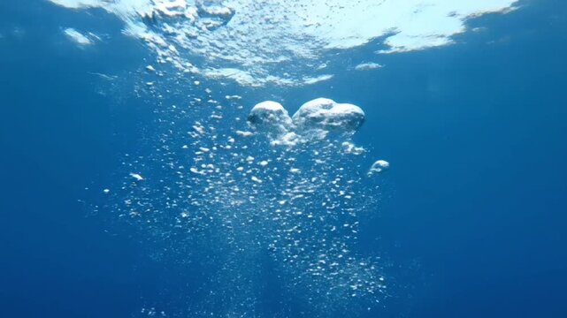 Underwater Bubbles Rising to Surface