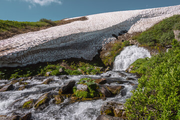 Big waterfall flows from mossy rock under snow cornice in sunny day. Green alpine scenery with pure mountain creek among wild lush flora in bright sun. Large river source under snowfield in sunlight. © Daniil
