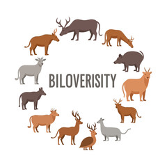 Obraz premium Diverse animals arranged in a circular pattern illustrating biodiversity concept