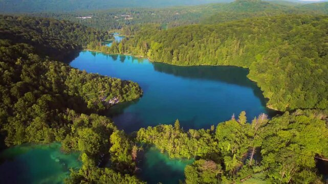 Aerial view of serene lake surrounded by lush green forest