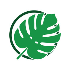 Monstera Leaf Vector Clipart Isolated Green Tropical Plant Icon for Nature Design