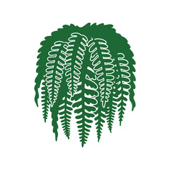 Green fern leaf vector clipart isolated on white background for botanical and nature design