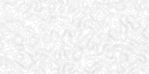 Gray topographic map lines on white background for design and illustration purposes © MD.HUZZATULLAHISLAM