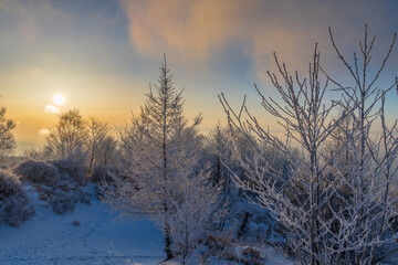 朝日に輝く樹氷の赤城山地蔵岳スノーハイク
