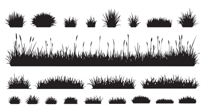 Collection of various grass and weed silhouettes in different shapes and sizes for design