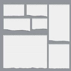 Torn Line Notebook Paper Background,paper cut, memo, paper,Torn pieces of white lined notebook paper on a gray background