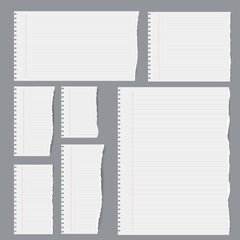 Torn pieces of white lined notebook paper on a gray background,Torn Lined Paper Pieces Collection on Grey Background,paper cut,torn paper,note paper cut