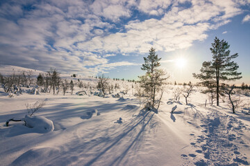 Hiking to the summit of Mount Kiilopää during a spectacular arctic sunset in Finnish Lapland. © julen