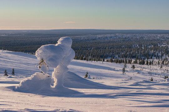 Hiking to the summit of Mount Kiilop&auml;&auml; during a spectacular arctic sunset in Finnish Lapland.