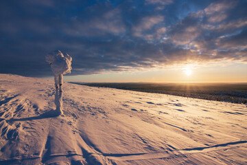 Hiking to the summit of Mount Kiilopää during a spectacular arctic sunset in Finnish Lapland. © julen