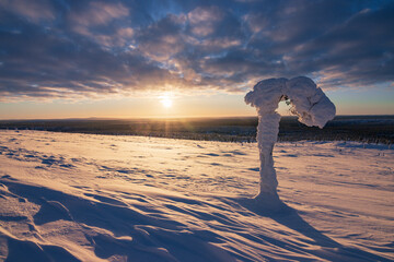 Hiking to the summit of Mount Kiilopää during a spectacular arctic sunset in Finnish Lapland. © julen