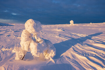 Hiking to the summit of Mount Kiilopää during a spectacular arctic sunset in Finnish Lapland. © julen