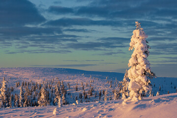 Hiking to the summit of Mount Kiilopää during a spectacular arctic sunset in Finnish Lapland. © julen