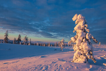 Hiking to the summit of Mount Kiilopää during a spectacular arctic sunset in Finnish Lapland. © julen
