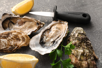 Delicious fresh oysters with lemon and parsley on dark background, closeup © Pixel-Shot