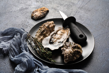 Plate with delicious fresh oysters and thyme on blue background, closeup © Pixel-Shot