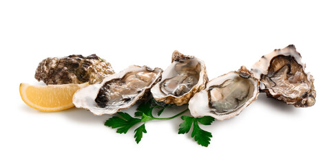 Delicious fresh oysters with lemon and parsley on white background © Pixel-Shot