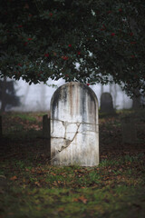Naklejka premium A headstone with no words sits among a cemetery in gloomy green plants and trees, with red berries in the plant above. The setting is somber and gloomy, with foggy forest nature in the background.