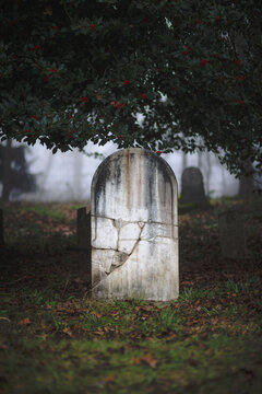 A headstone with no words sits among a cemetery in gloomy green plants and trees, with red berries in the plant above. The setting is somber and gloomy, with foggy forest nature in the background.