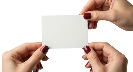 Fototapeta premium Woman's Hands Holding Blank White Business Card on White Background