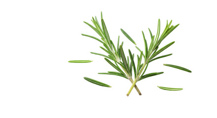 a close-up macro shot of fresh, vibrant green rosemary sprigs and scattered needle-like leaves isolated on a bright white background with soft shadows, concept of natural wellness