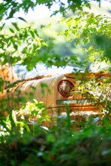 草に埋もれた放置車両