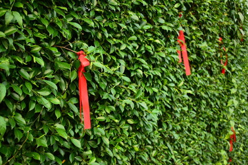 red ribbon on green leaf background