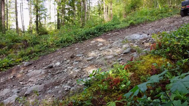A man riding a yellow ATV going up a very steep incline on a rocky path in the forest Taken during a sunny summer day with trees and spots of sunlight shining through the bush and trees.
