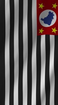 Vertical Sao Paulo State Flag, Brazilian Business Hub 4K Motion
