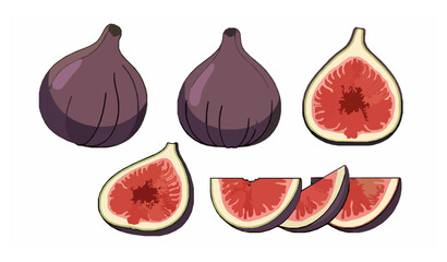 Fig Fruit Whole and Cut Flat Vector Set