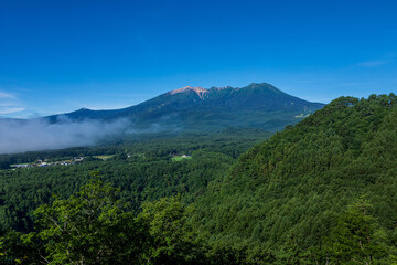 盛夏の御嶽山　長野県 木曽町 開田高原から