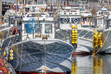 静岡県・由比漁港に密集して係留された白い漁船群