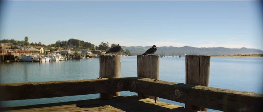 Atascadero_Highlight_Stock_2.35_023