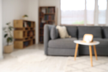 Blurred view of grey sofa and bookshelves with many books in living room © Pixel-Shot