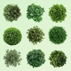 Obraz premium Green bushes design element set