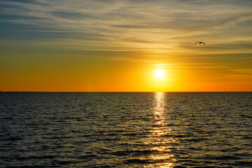 Fototapeta premium The sun set landscape of gulf of America and Port Richey in Florida