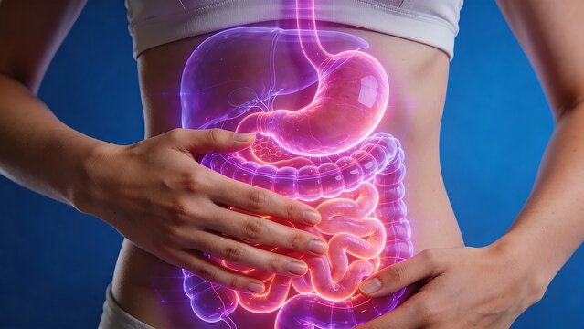 A woman's torso is highlighted with a glowing illustration of her digestive system as she holds her stomach