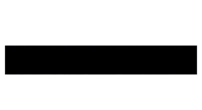 A simple black rectangular bar used for censoring or hiding sensitive information