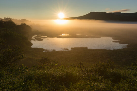 朝霧わく八島が原湿原