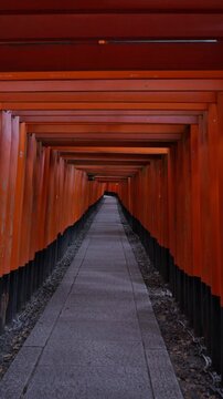 travel vertical video fushimi inari, infinite seamless shinto tori gate