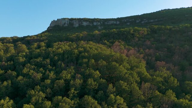 Lush green forest on Alexandroupoli hilltop under clear blue sky