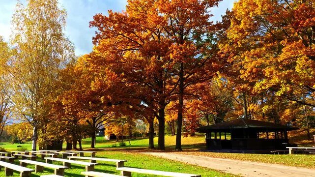 Autumn setting with rows of empty wooden benches facing a pavilion amidst fall foliage